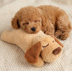CuddlingPup