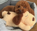 CuddlingPup