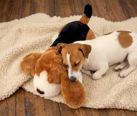 CuddlingPup