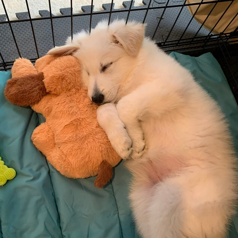 CuddlingPup