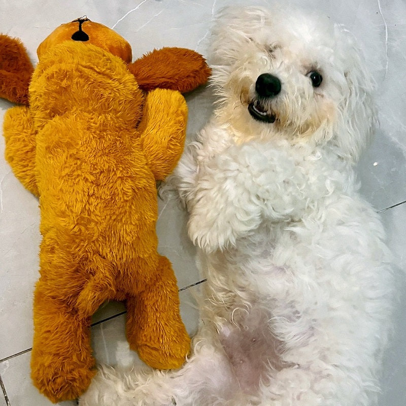 CuddlingPup