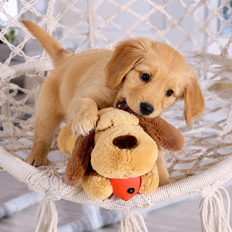 CuddlingPup